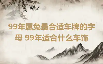 99年属兔最合适车牌的字母 99年适合什么车饰