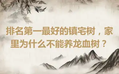排名第一最好的镇宅树，家里为什么不能养龙血树？