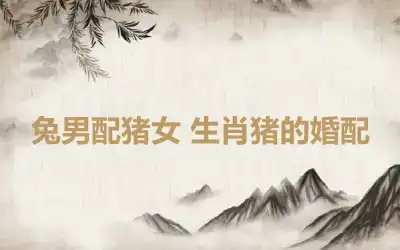 兔男配猪女 生肖猪的婚配