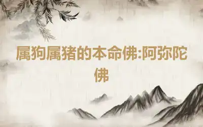 属狗属猪的本命佛:阿弥陀佛