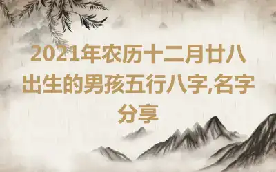 2021年农历十二月廿八出生的男孩五行八字,名字分享
