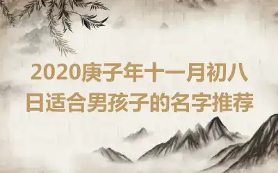 2020庚子年十一月初八日适合男孩子的名字推荐