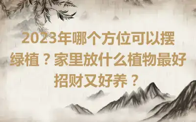 2023年哪个方位可以摆绿植？家里放什么植物最好招财又好养？