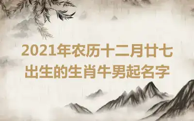 2021年农历十二月廿七出生的生肖牛男起名字