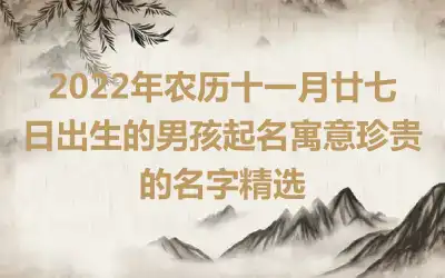 2022年农历十一月廿七日出生的男孩起名寓意珍贵的名字精选