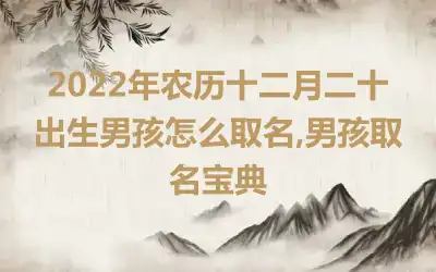 2022年农历十二月二十出生男孩怎么取名,男孩取名宝典