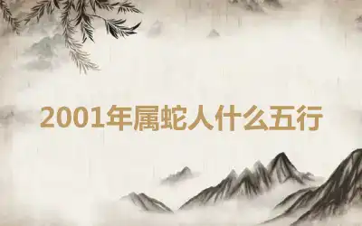 2001年属蛇人什么五行