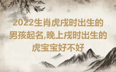 2022生肖虎戌时出生的男孩起名,晚上戌时出生的虎宝宝好不好