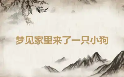 梦见家里来了一只小狗