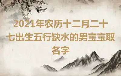 2021年农历十二月二十七出生五行缺水的男宝宝取名字