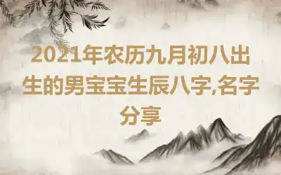 2021年农历九月初八出生的男宝宝生辰八字,名字分享