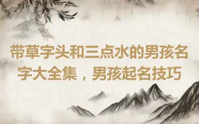 带草字头和三点水的男孩名字大全集，男孩起名技巧