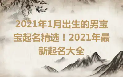 2021年1月出生的男宝宝起名精选！2021年最新起名大全