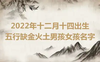 2022年十二月十四出生五行缺金火土男孩女孩名字