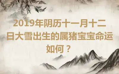 2019年阴历十一月十二日大雪出生的属猪宝宝命运如何?