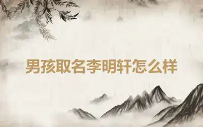 男孩取名李明轩怎么样