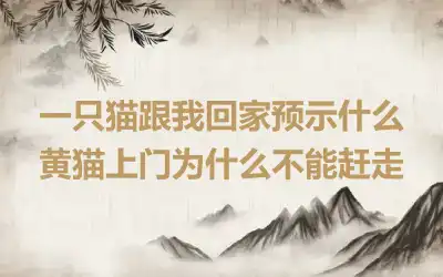 一只猫跟我回家预示什么 黄猫上门为什么不能赶走