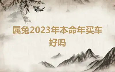 属兔2023年本命年买车好吗