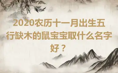 2020农历十一月出生五行缺木的鼠宝宝取什么名字好？