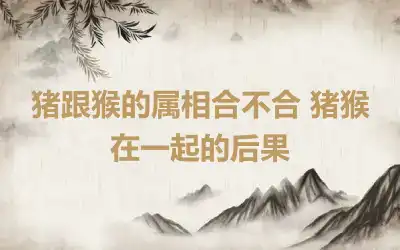 猪跟猴的属相合不合 猪猴在一起的后果