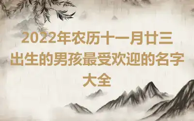 2022年农历十一月廿三出生的男孩最受欢迎的名字大全