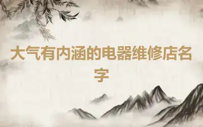 大气有内涵的电器维修店名字