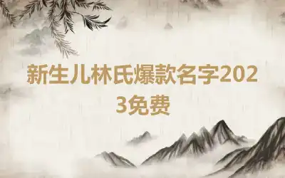 新生儿林氏爆款名字2023免费