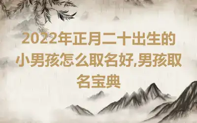 2022年正月二十出生的小男孩怎么取名好,男孩取名宝典