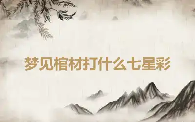 梦见棺材打什么七星彩