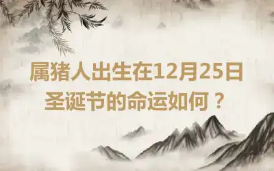 属猪人出生在12月25日圣诞节的命运如何？