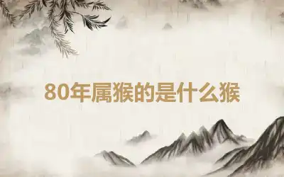 80年属猴的是什么猴