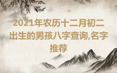 2021年农历十二月初二出生的男孩八字查询,名字推荐