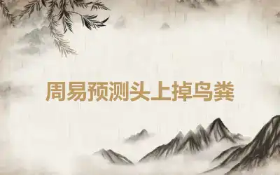 周易预测头上掉鸟粪