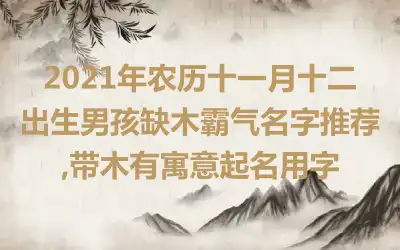 2021年农历十一月十二出生男孩缺木霸气名字推荐,带木有寓意起名用字