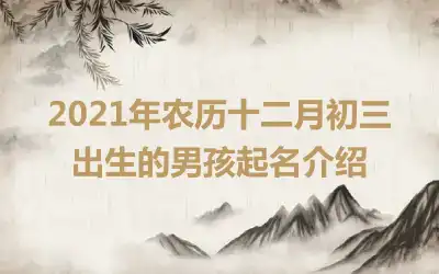 2021年农历十二月初三出生的男孩起名介绍