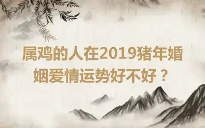属鸡的人在2019猪年婚姻爱情运势好不好？