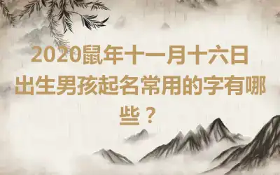 2020鼠年十一月十六日出生男孩起名常用的字有哪些？