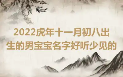 2022虎年十一月初八出生的男宝宝名字好听少见的