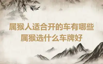 属猴人适合开的车有哪些 属猴选什么车牌好