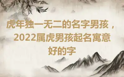 虎年独一无二的名字男孩，2022属虎男孩起名寓意好的字