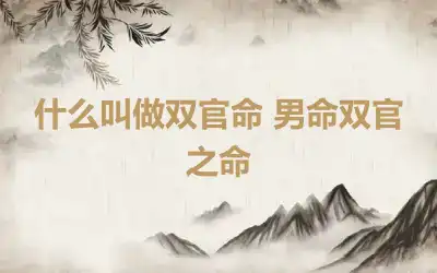 什么叫做双官命 男命双官之命