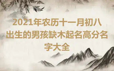 2021年农历十一月初八出生的男孩缺木起名高分名字大全