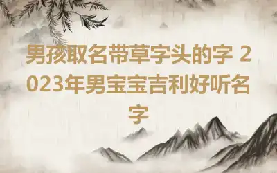 男孩取名带草字头的字 2023年男宝宝吉利好听名字