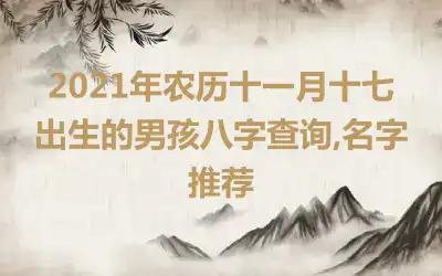 2021年农历十一月十七出生的男孩八字查询,名字推荐