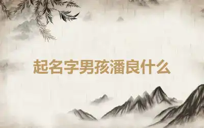 起名字男孩潘良什么