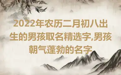 2022年农历二月初八出生的男孩取名精选字,男孩朝气蓬勃的名字