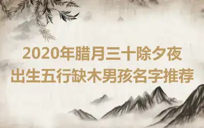 2020年腊月三十除夕夜出生五行缺木男孩名字推荐