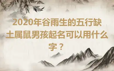 2020年谷雨生的五行缺土属鼠男孩起名可以用什么字？