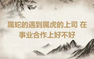 属蛇的遇到属虎的上司 在事业合作上好不好