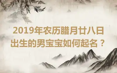 2019年农历腊月廿八日出生的男宝宝如何起名？